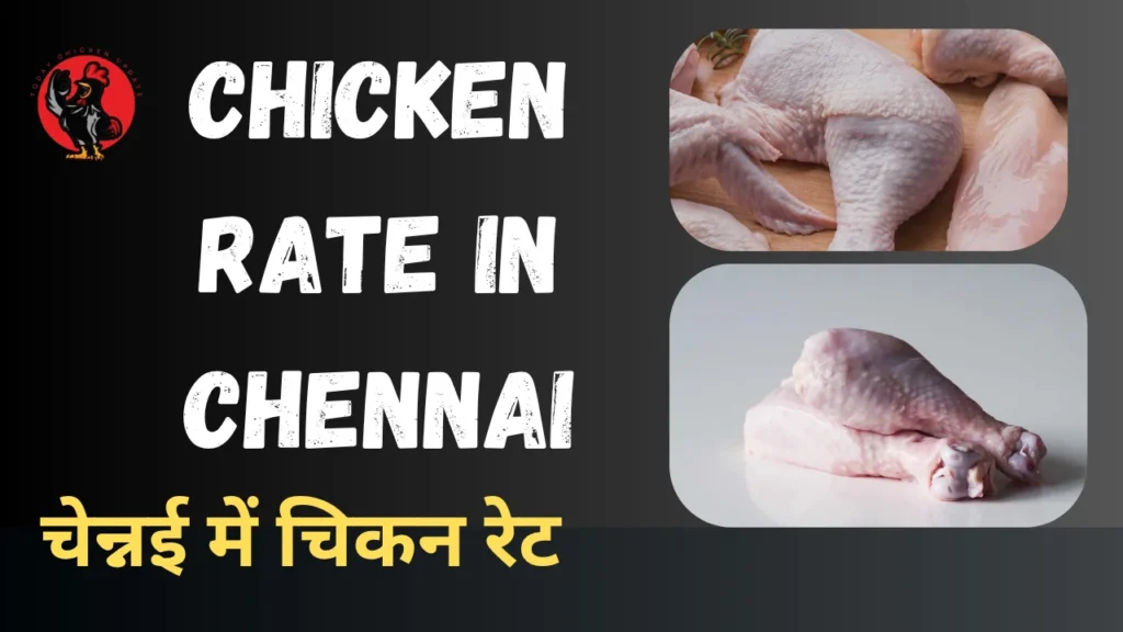 Chicken rate in Chennai
